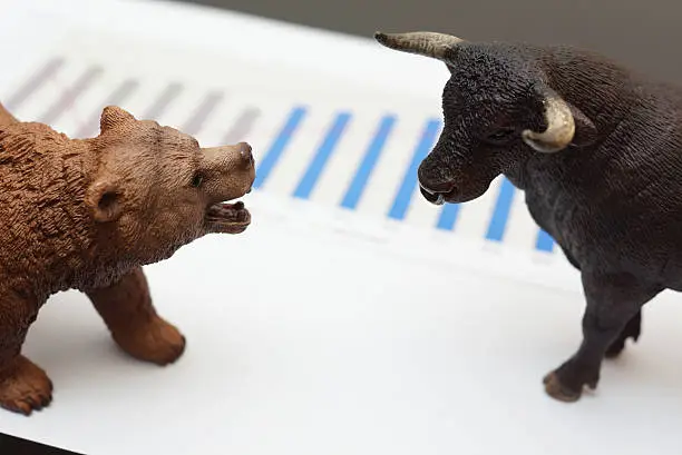 Photo of stock trading with bull and bear