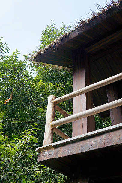 istock Wooden balcony among trees 456509367