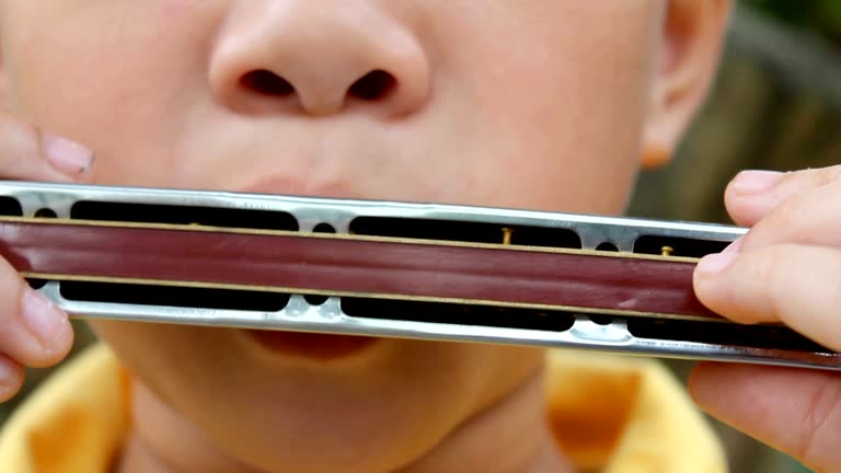 Different Types Of Harmonicas Harmonica 101 57 Off Different Types Of Harmonicas Harmonica 101 57 Off