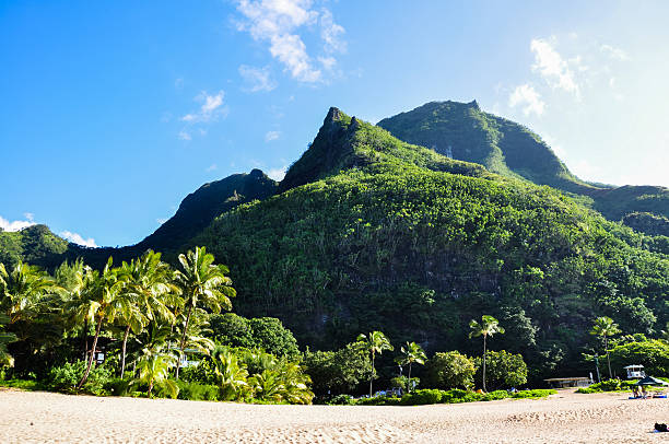 istock Haena Beach Park - Kauai, Hawaii 456519051