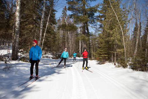 A group of people out cross country skiing.