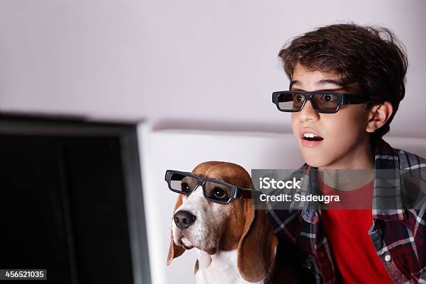 Look At That Stock Photo - Download Image Now - Movie, Dog, People