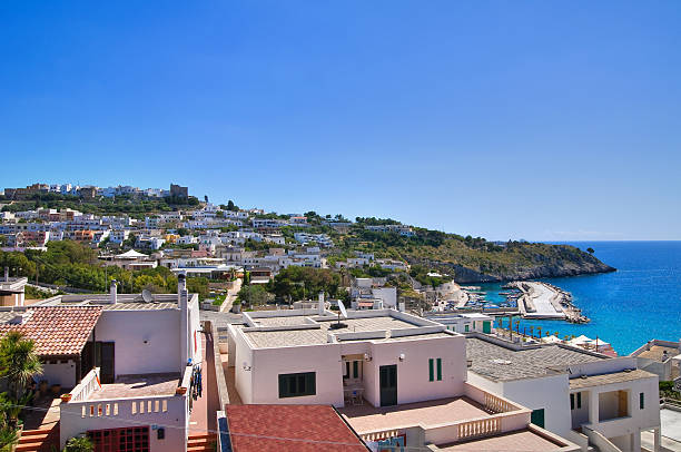istock Panoramic view of Castro. Puglia. Italy. 456539901
