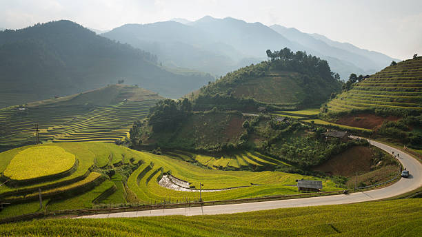 campos de arroz em ha giang, a noroeste do vietnã - bac ha - fotografias e filmes do acervo