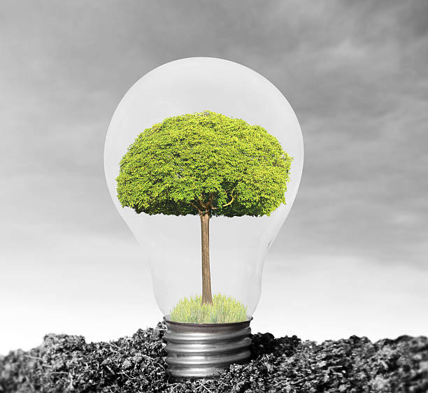 istock Incandescent light bulb with plant as filament 456570229