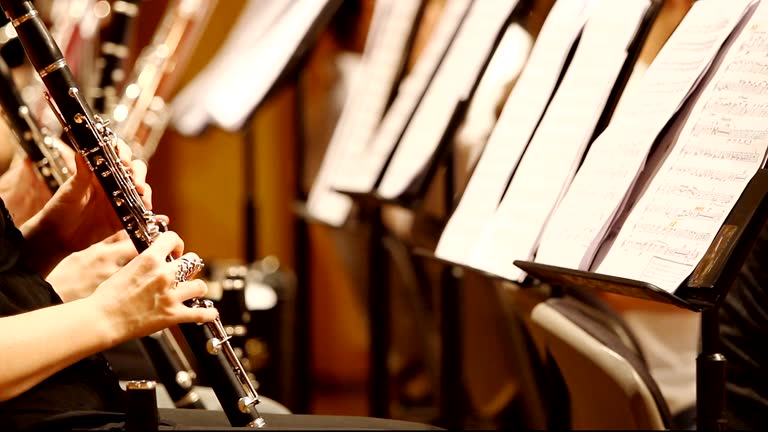 Descarga videos de stock de Clarinete gratis en 4K y HD 46 clips Descarga videos de stock de Clarinete gratis en 4K y HD 46 clips