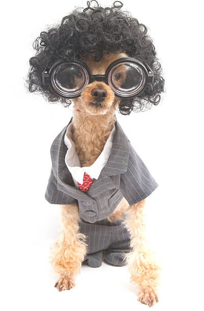 istock Professional with Big Hair and Glasses 456627563