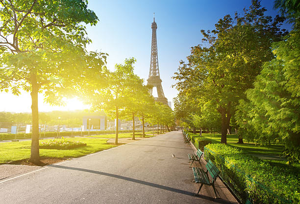 istock sunny morning and Eiffel Tower, Paris, France 456741725