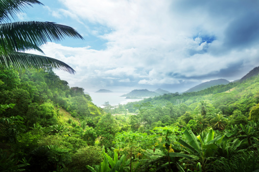 jungle island de seychelles photo
