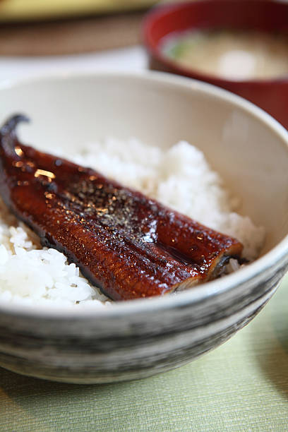 istock kabayaki eel on rice japanese style 456745139