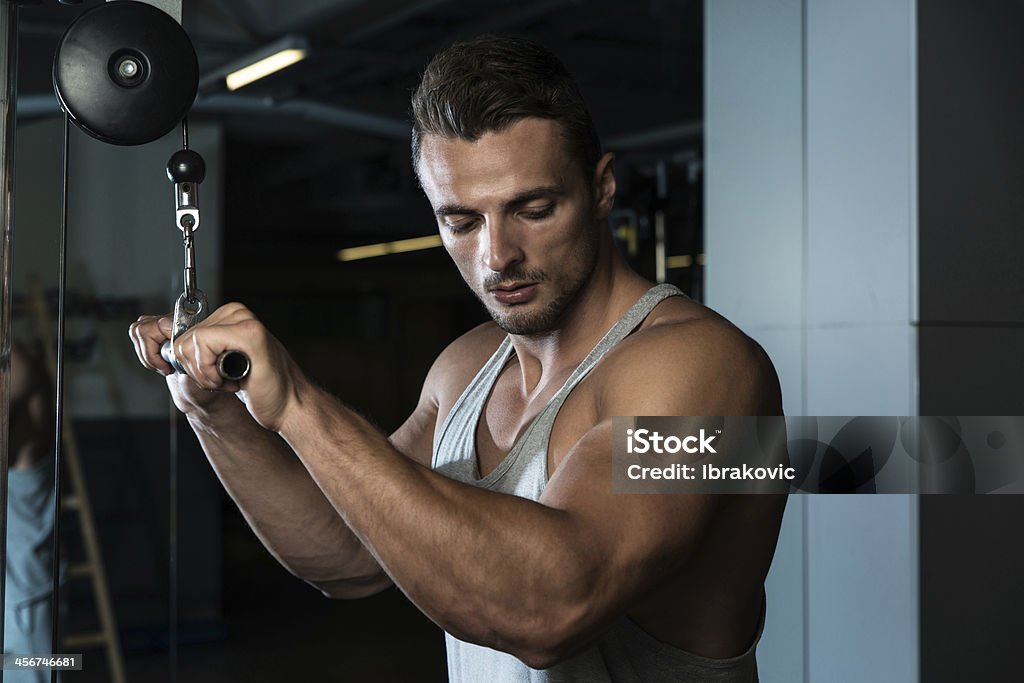 Bodybuilder Doing Heavy Weight Exercise For Triceps With Cable Young Man On The Triceps Pulldown Weight Machine At A Health Club Active Lifestyle Stock Photo