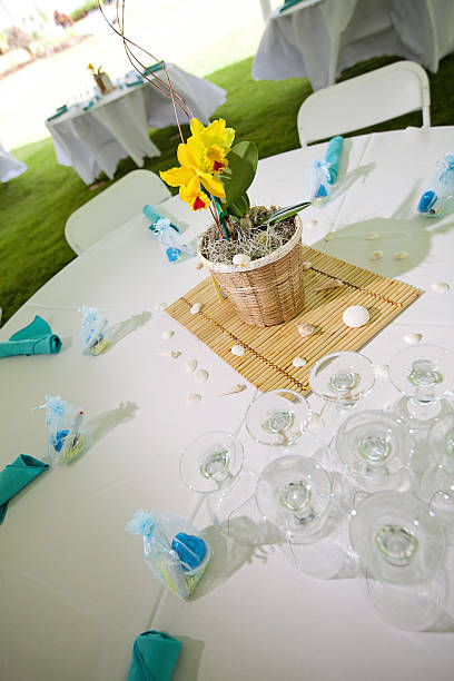 istock Banquet at the Beach 456749315