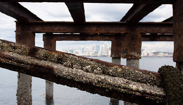 Barnacles em um Rusty Pier - foto de acervo