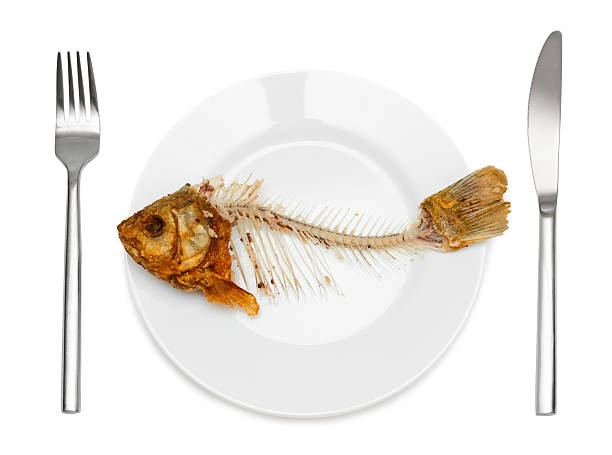 Fish skeleton on the plate Fish skeleton on the plate - symbol for food shortage and misery. Isolated on white background. animal bone stock pictures, royalty-free photos & images