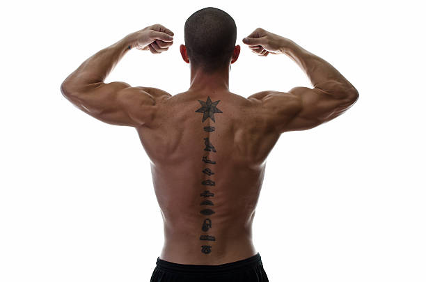 Muscled Back with Tattoo Fitness muscled man with tattoo on back on isolated white background. Flexing biceps. The upper back has a few freckles around and near the shoulder blades. body adornment rear view young men men stock pictures, royalty-free photos & images