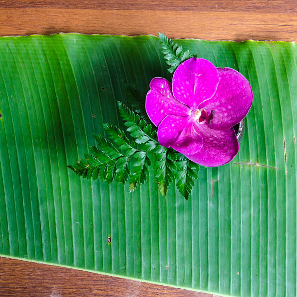 Picture shows an close view on wonderful flowers.