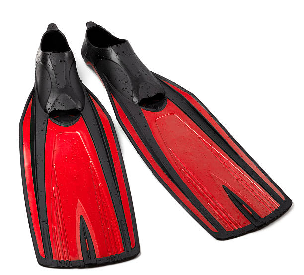 istock Swim fins on white background 456850975