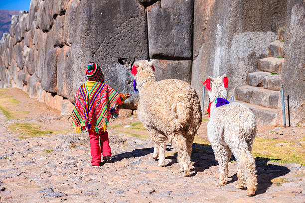 peruwiański mały chłopiec w national odzież z lama w pobliżu cuzco - calca zdjęcia i obrazy z banku zdj�ęć