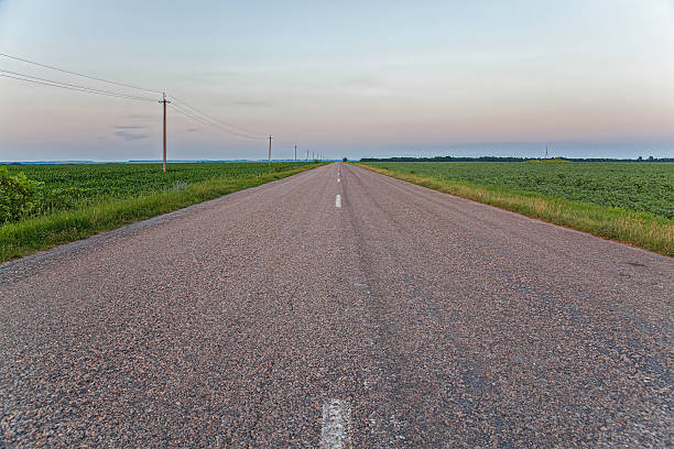 istock Road in the field 456856399