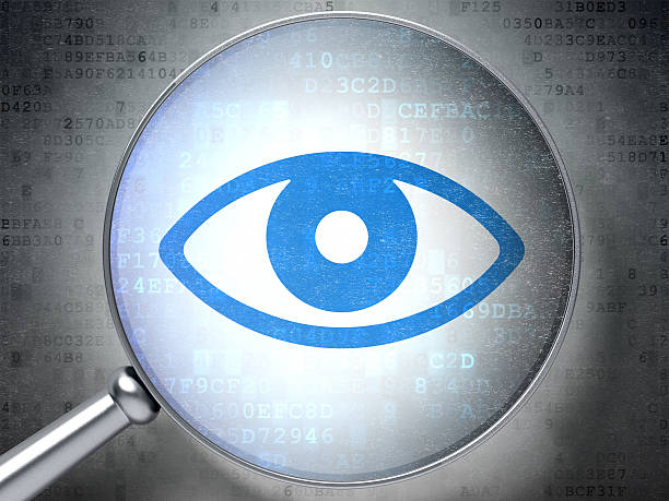 istock Security concept: Eye with optical glass on digital background 456861133
