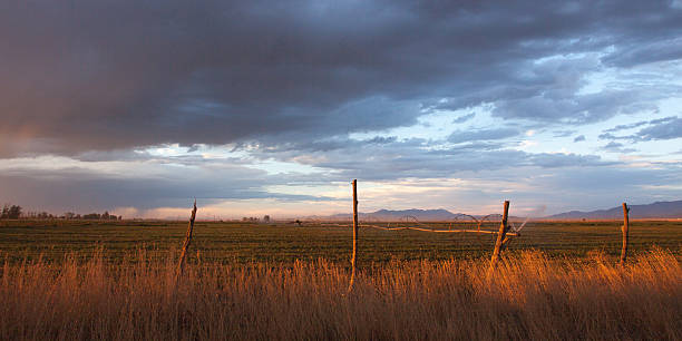 Campo ao pôr do sol - foto de acervo