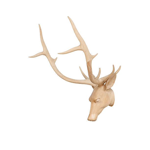 istock Wooden deer head isolated on white background(Decoration) 456864759
