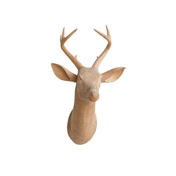 istock Wooden deer head isolated on white background(Decoration) 456864785