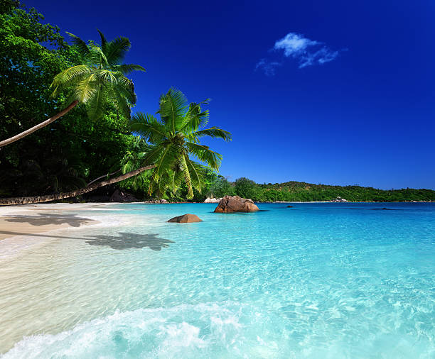 istock beach at Praslin island, Seychelles 456865941