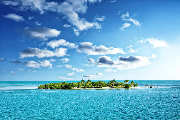 istock Tropical island in the clear blue ocean 456865953