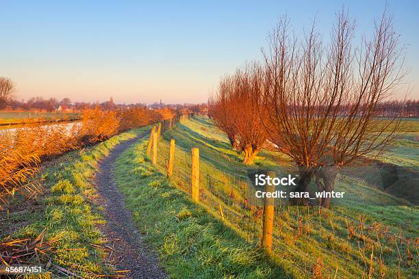 Piccolo Dike In Campagna Allalba Paesaggio Olandese - Fotografie stock e altre immagini di Agricoltura