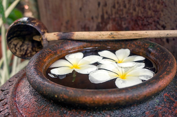Flowers in clay pot floating on water.