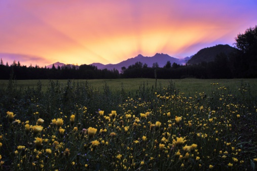 Sunrise in Alaska in the spring