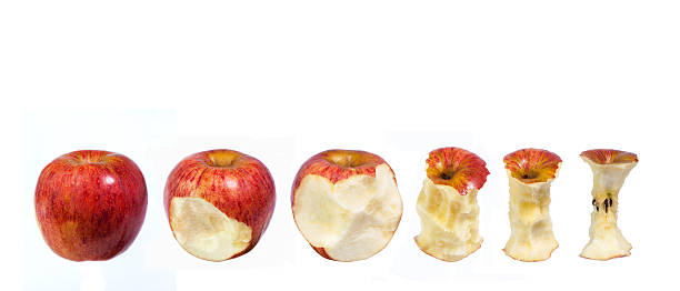 istock Eaten red apples in a row 456894477