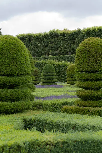 Splendid, decorative gardens at castles in the Valley of Loire