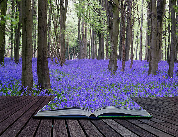 istock Creative concept book Vibrant bluebell carpet Spring forest landscape 456906185