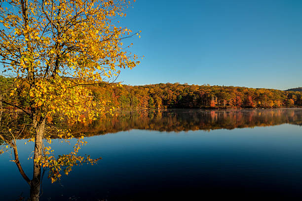 istock Harriman State Park in autumn 456908309
