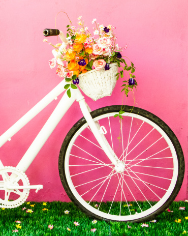 White vintage bicycle with flowers on the pink wall.