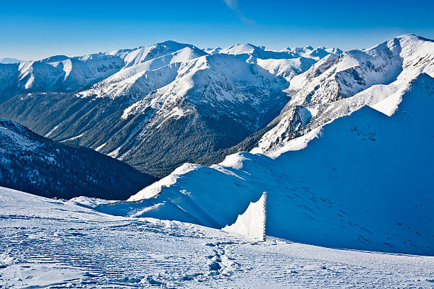 istock Winter Western Tatra Mountains Landscape 457031391