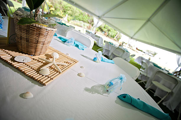 istock Banquet at the Beach 457034889