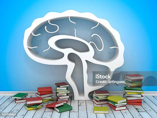 Book Shelf In Form Of Brain Stock Photo - Download Image Now - Bookshelf, Brain, Book