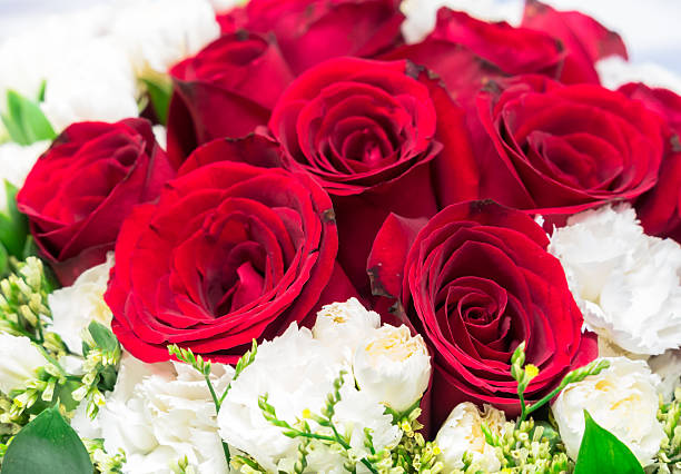 istock Bunch of red and white flowers 457050567
