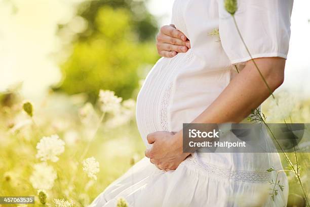 Pregnant Woman Stock Photo - Download Image Now - Abdomen, Adult, Agricultural Field