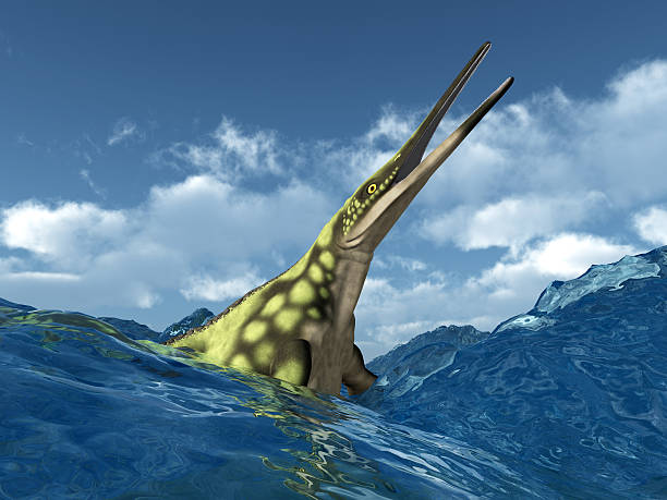 istock Marine Reptile Hupehsuchus 457067523