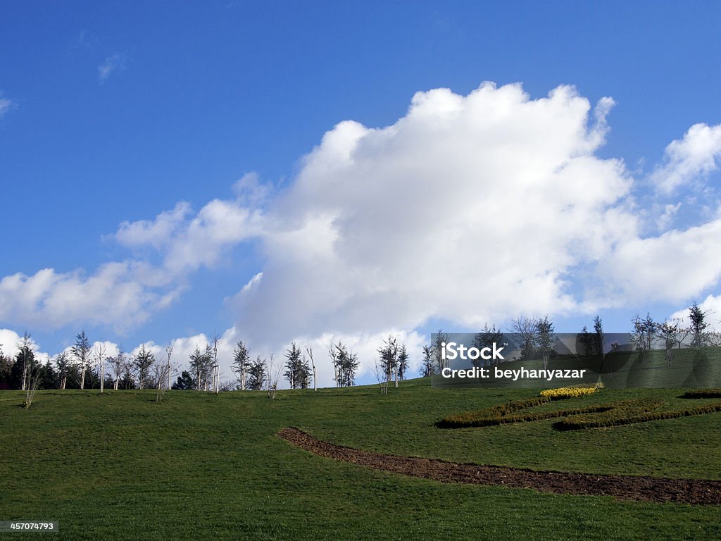 paysage - Photo de Agriculture libre de droits