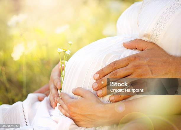Pregnant Belly Stock Photo - Download Image Now - Pregnant, Childbirth, Nature