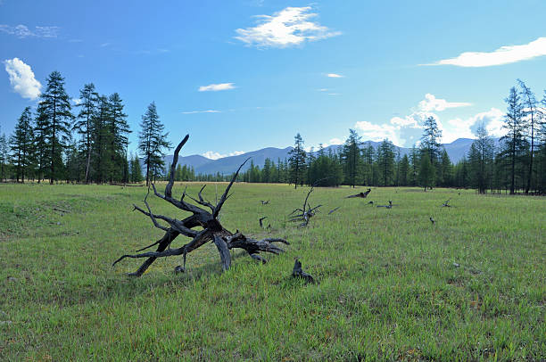 istock Landscape of  valley in the mountains 457098115