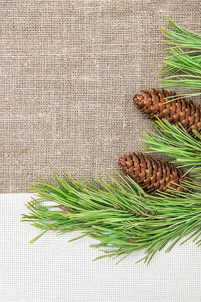 istock Christmas card with canvas, fir branch and pine cones 457161029
