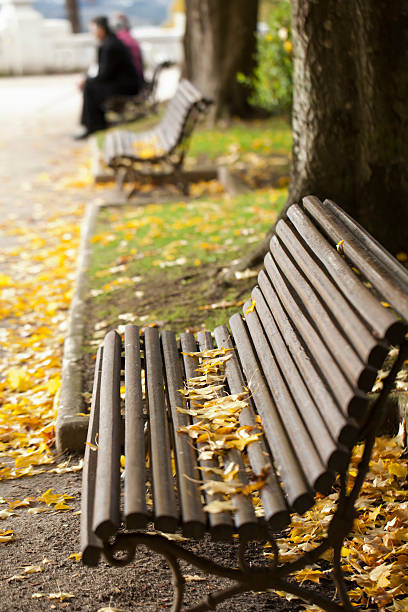 istock Garden in autumn 457212951