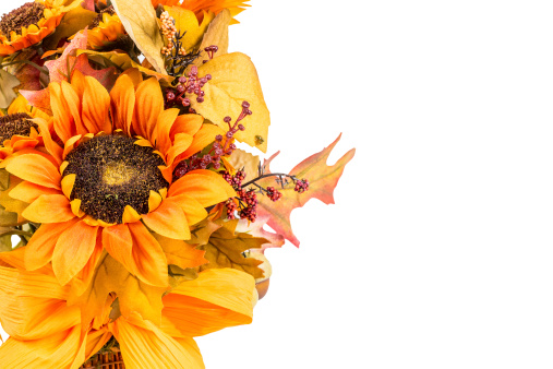 A Fall and Autumn colored flower arrangement showing various colors isolated on a white background.