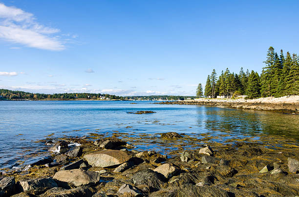 istock Port Clyde Harbour, Maine 457371751